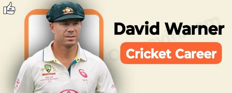 David Warner Cricket Career