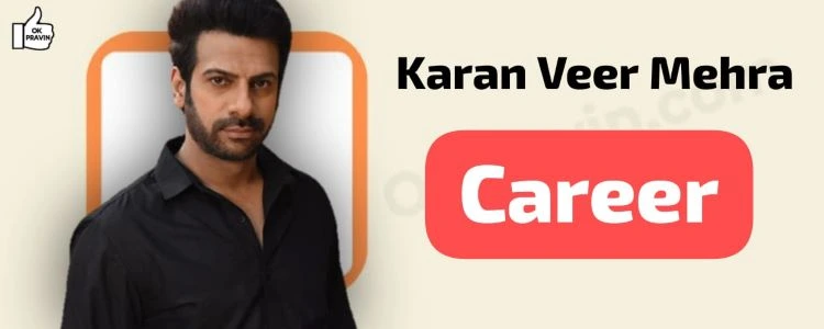 Karan Veer Mehra Career